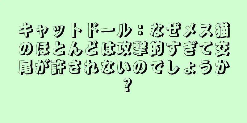 キャットドール：なぜメス猫のほとんどは攻撃的すぎて交尾が許されないのでしょうか？