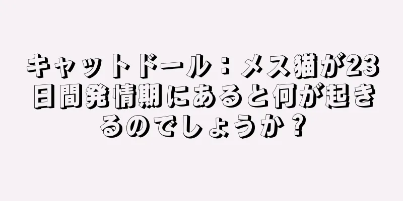 キャットドール：メス猫が23日間発情期にあると何が起きるのでしょうか？