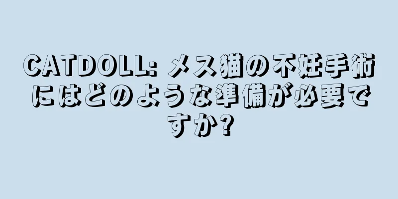 CATDOLL: メス猫の不妊手術にはどのような準備が必要ですか?