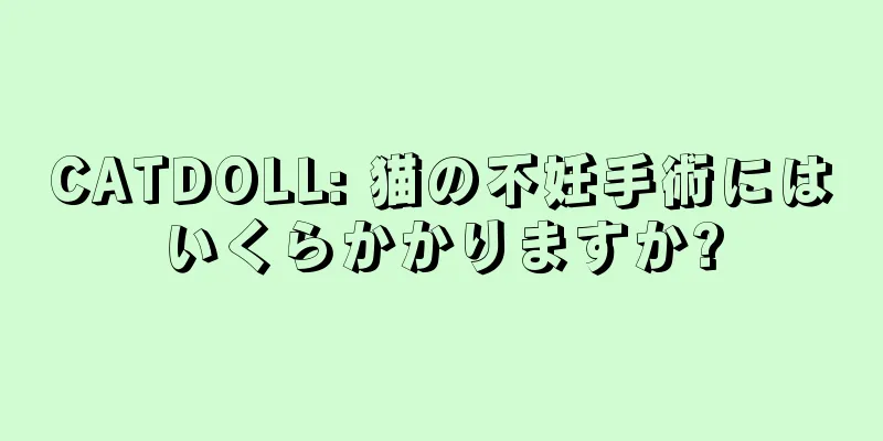 CATDOLL: 猫の不妊手術にはいくらかかりますか?