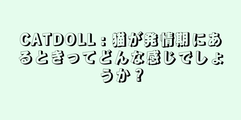 CATDOLL : 猫が発情期にあるときってどんな感じでしょうか？