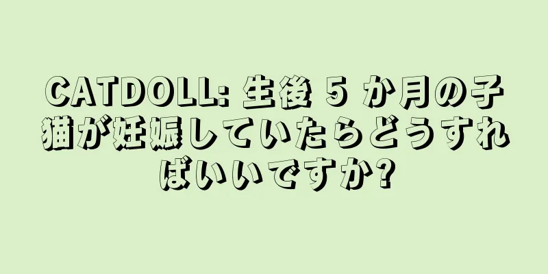CATDOLL: 生後 5 か月の子猫が妊娠していたらどうすればいいですか?