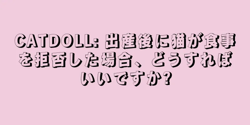 CATDOLL: 出産後に猫が食事を拒否した場合、どうすればいいですか?