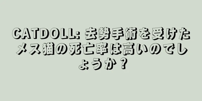 CATDOLL: 去勢手術を受けたメス猫の死亡率は高いのでしょうか？
