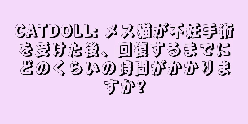 CATDOLL: メス猫が不妊手術を受けた後、回復するまでにどのくらいの時間がかかりますか?