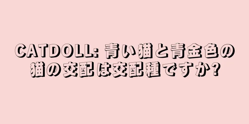 CATDOLL: 青い猫と青金色の猫の交配は交配種ですか?