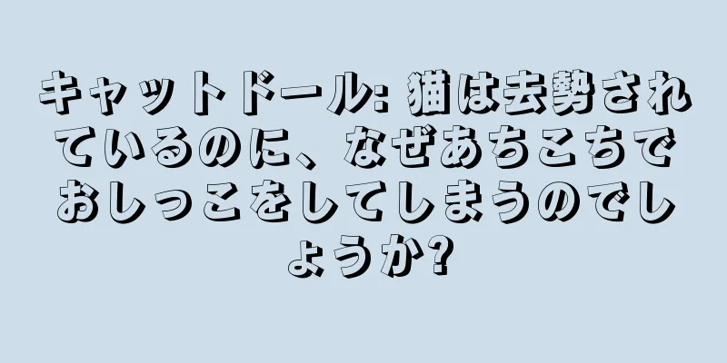 キャットドール: 猫は去勢されているのに、なぜあちこちでおしっこをしてしまうのでしょうか?
