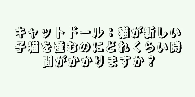 キャットドール：猫が新しい子猫を産むのにどれくらい時間がかかりますか？