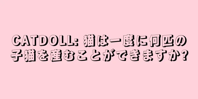 CATDOLL: 猫は一度に何匹の子猫を産むことができますか?