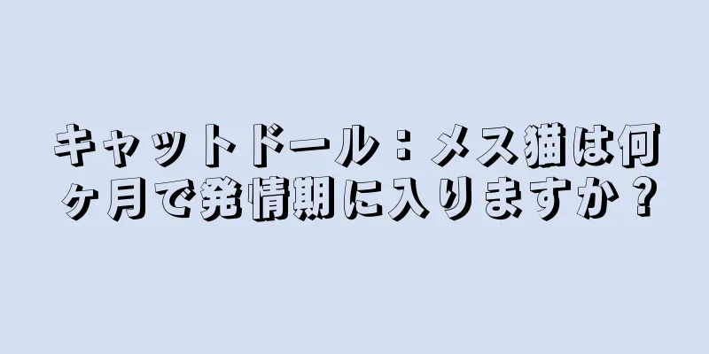 キャットドール：メス猫は何ヶ月で発情期に入りますか？