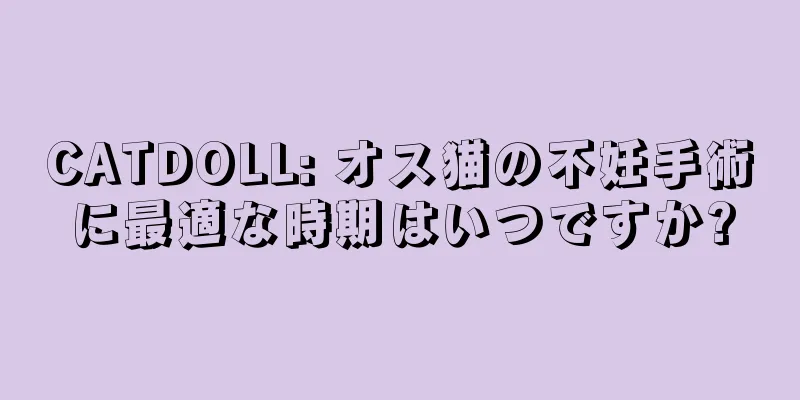 CATDOLL: オス猫の不妊手術に最適な時期はいつですか?