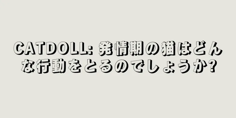CATDOLL: 発情期の猫はどんな行動をとるのでしょうか?