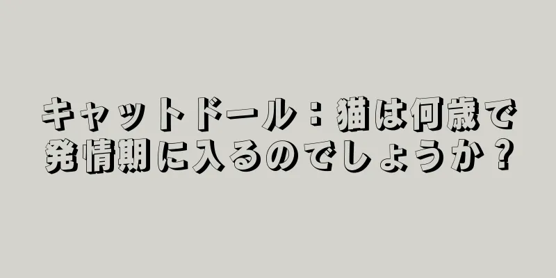 キャットドール：猫は何歳で発情期に入るのでしょうか？