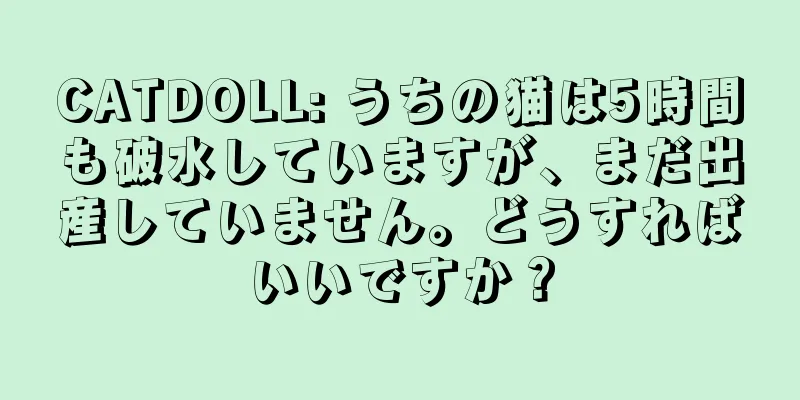 CATDOLL: うちの猫は5時間も破水していますが、まだ出産していません。どうすればいいですか？