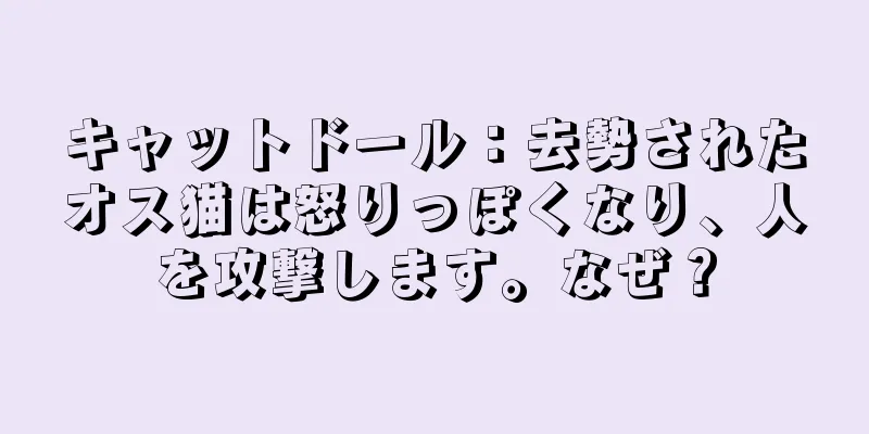 キャットドール：去勢されたオス猫は怒りっぽくなり、人を攻撃します。なぜ？
