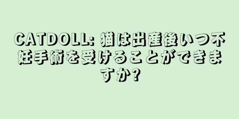 CATDOLL: 猫は出産後いつ不妊手術を受けることができますか?