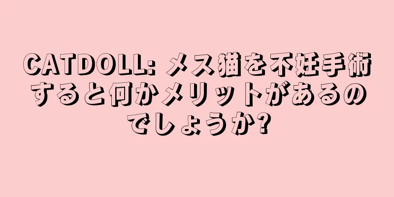 CATDOLL: メス猫を不妊手術すると何かメリットがあるのでしょうか?
