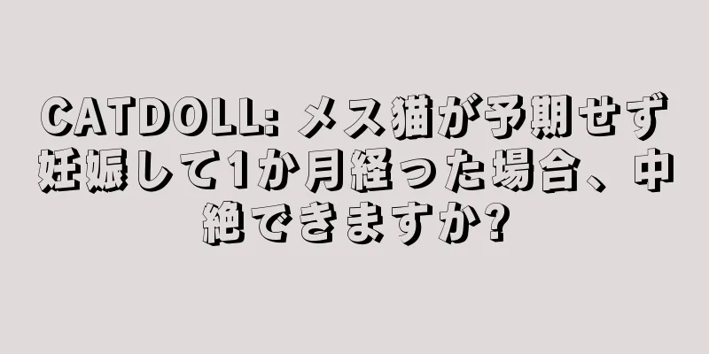 CATDOLL: メス猫が予期せず妊娠して1か月経った場合、中絶できますか?