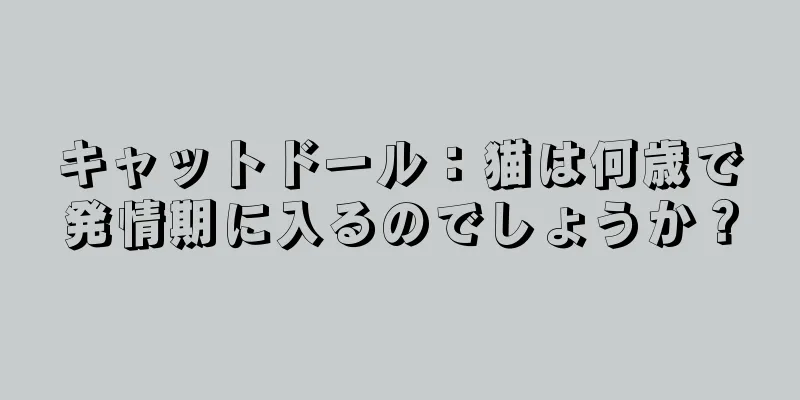 キャットドール：猫は何歳で発情期に入るのでしょうか？