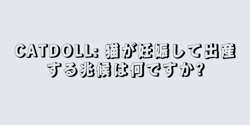 CATDOLL: 猫が妊娠して出産する兆候は何ですか?