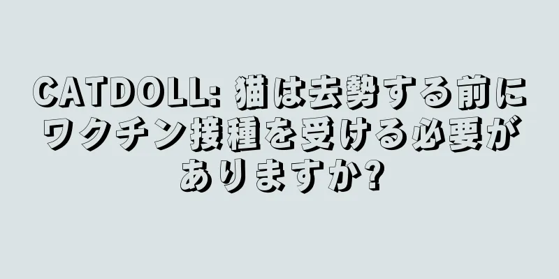 CATDOLL: 猫は去勢する前にワクチン接種を受ける必要がありますか?