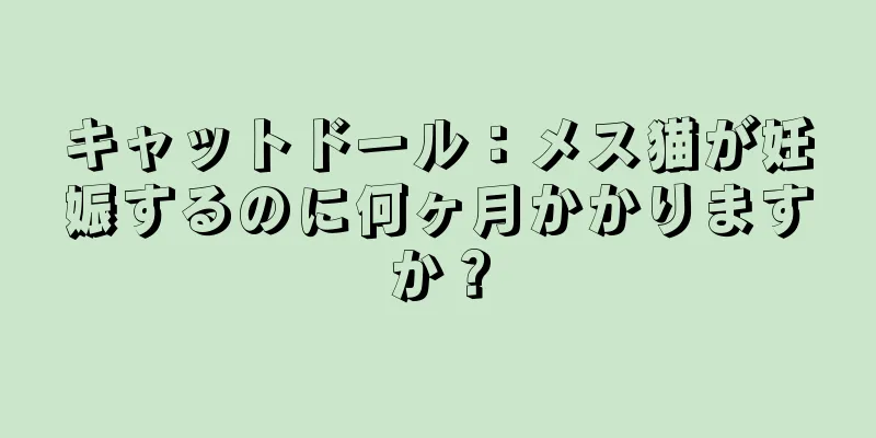 キャットドール：メス猫が妊娠するのに何ヶ月かかりますか？