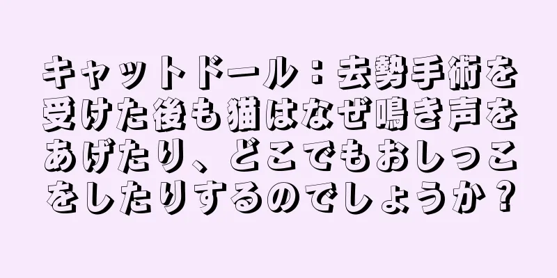 キャットドール：去勢手術を受けた後も猫はなぜ鳴き声をあげたり、どこでもおしっこをしたりするのでしょうか？