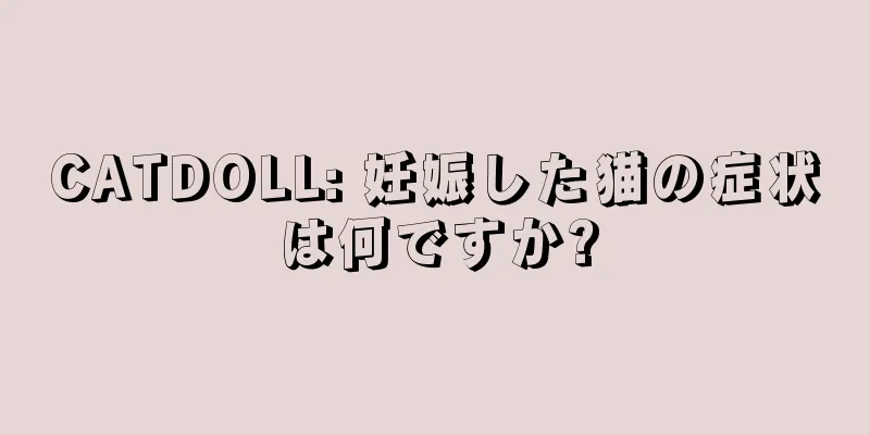 CATDOLL: 妊娠した猫の症状は何ですか?