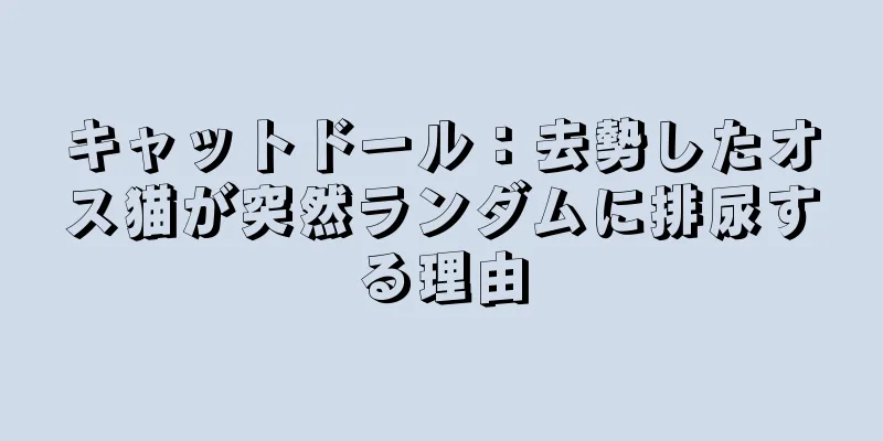 キャットドール：去勢したオス猫が突然ランダムに排尿する理由