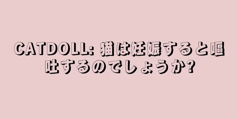CATDOLL: 猫は妊娠すると嘔吐するのでしょうか?