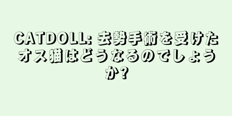 CATDOLL: 去勢手術を受けたオス猫はどうなるのでしょうか?