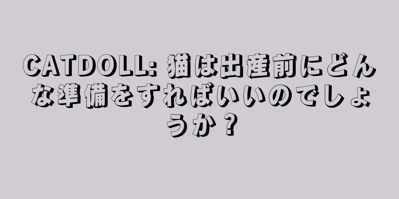 CATDOLL: 猫は出産前にどんな準備をすればいいのでしょうか？