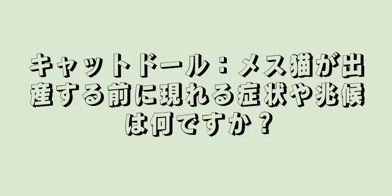 キャットドール：メス猫が出産する前に現れる症状や兆候は何ですか？
