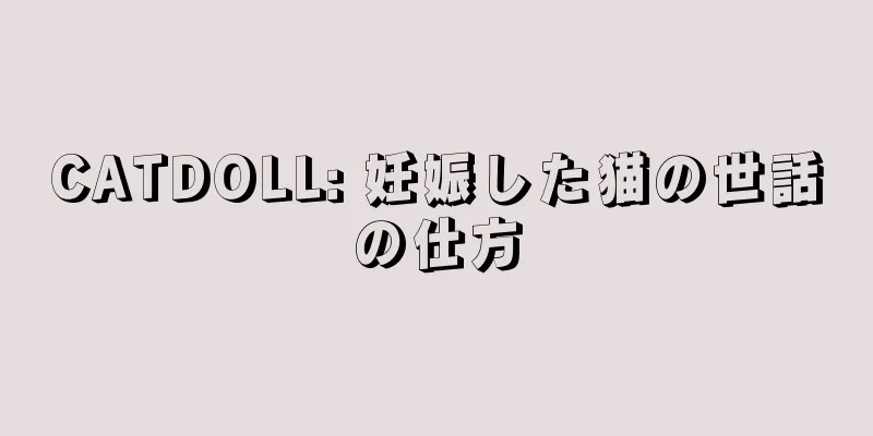 CATDOLL: 妊娠した猫の世話の仕方