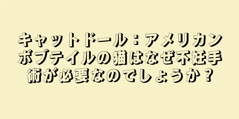 キャットドール：アメリカンボブテイルの猫はなぜ不妊手術が必要なのでしょうか？