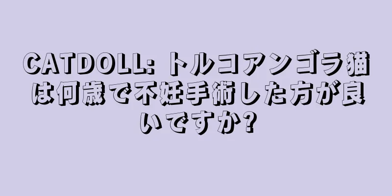 CATDOLL: トルコアンゴラ猫は何歳で不妊手術した方が良いですか?