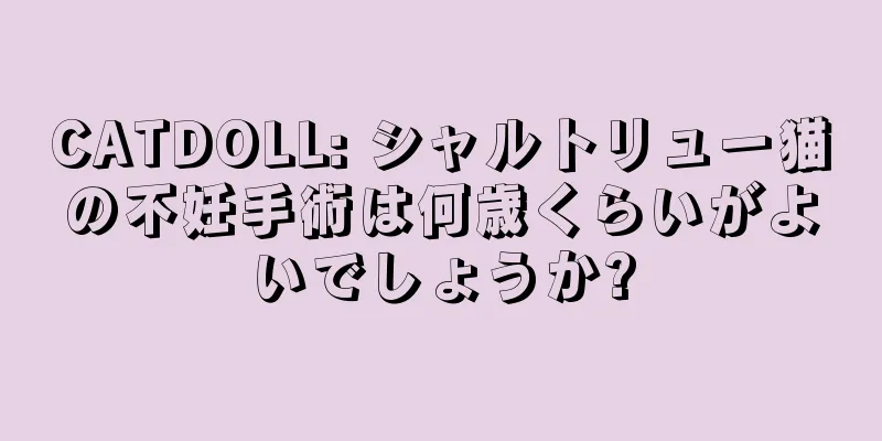 CATDOLL: シャルトリュー猫の不妊手術は何歳くらいがよいでしょうか?