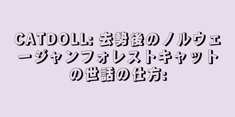 CATDOLL: 去勢後のノルウェージャンフォレストキャットの世話の仕方:
