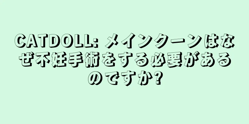 CATDOLL: メインクーンはなぜ不妊手術をする必要があるのですか?