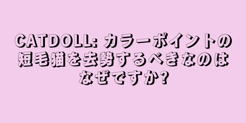 CATDOLL: カラーポイントの短毛猫を去勢するべきなのはなぜですか?