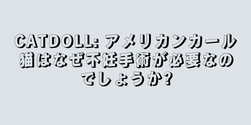 CATDOLL: アメリカンカール猫はなぜ不妊手術が必要なのでしょうか?