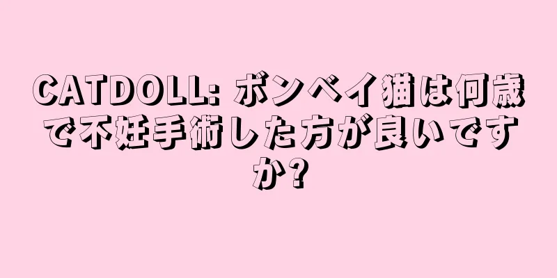 CATDOLL: ボンベイ猫は何歳で不妊手術した方が良いですか?
