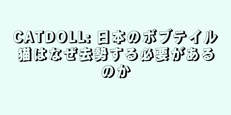 CATDOLL: 日本のボブテイル猫はなぜ去勢する必要があるのか