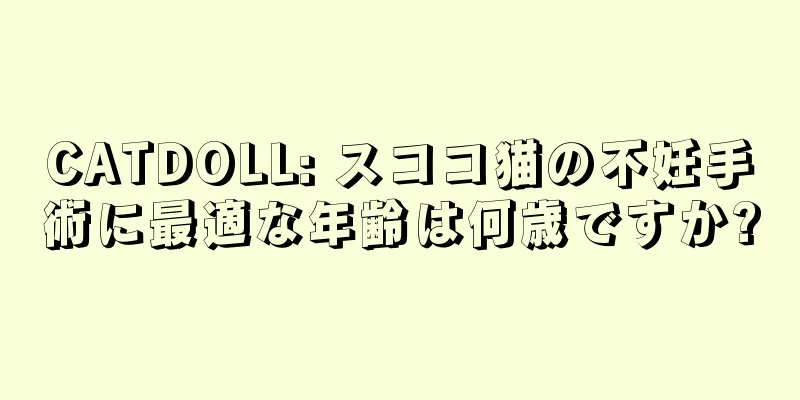 CATDOLL: スココ猫の不妊手術に最適な年齢は何歳ですか?