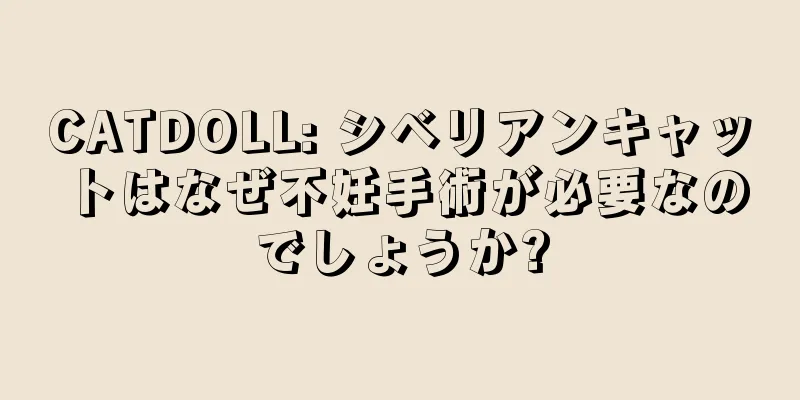 CATDOLL: シベリアンキャットはなぜ不妊手術が必要なのでしょうか?