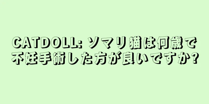 CATDOLL: ソマリ猫は何歳で不妊手術した方が良いですか?