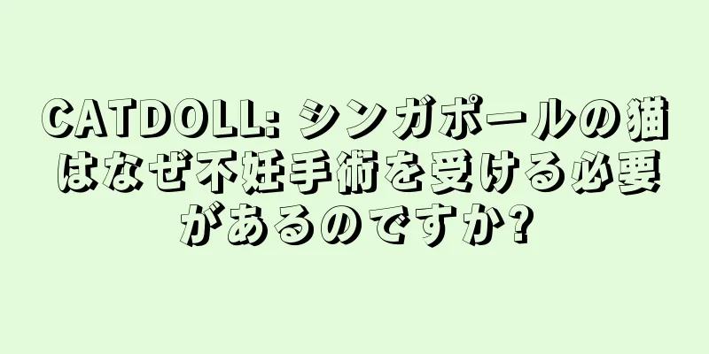 CATDOLL: シンガポールの猫はなぜ不妊手術を受ける必要があるのですか?