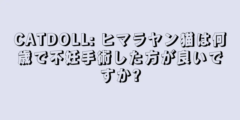 CATDOLL: ヒマラヤン猫は何歳で不妊手術した方が良いですか?