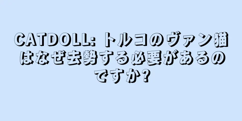 CATDOLL: トルコのヴァン猫はなぜ去勢する必要があるのですか?