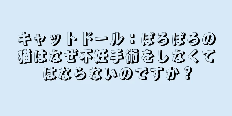 キャットドール：ぼろぼろの猫はなぜ不妊手術をしなくてはならないのですか？